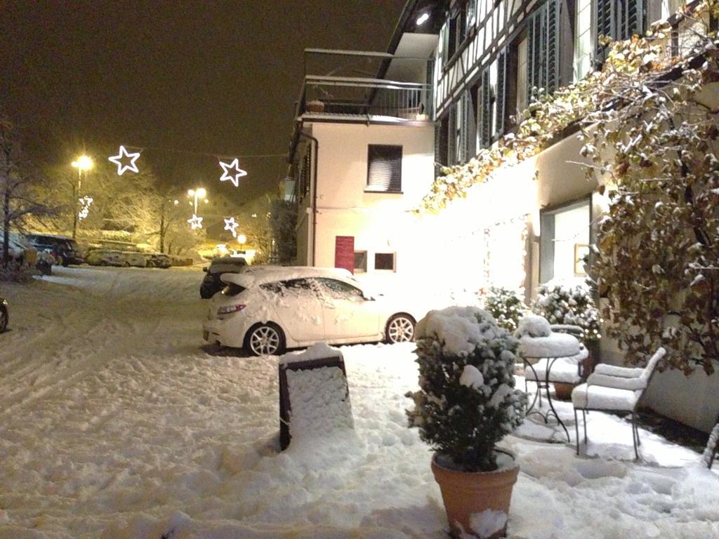 Hotel Rebe Herrliberg Exterior photo